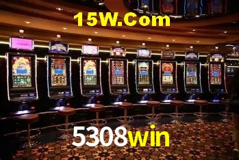 Bonus Features 5308win