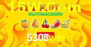 Premium Interface 5308win