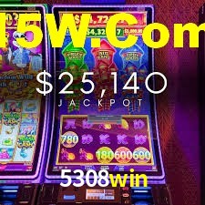 5308win App Interface
