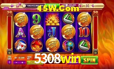 Security Systems 5308win