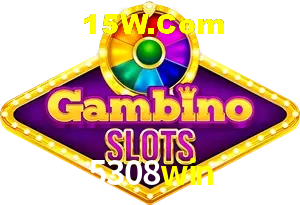 Bonus Features 5308win