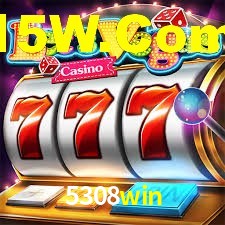 Programa VIP 5308win