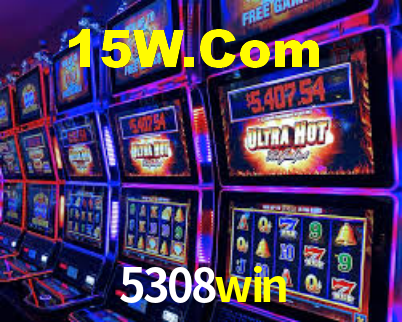 5308win App Interface